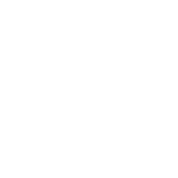 maleda foam